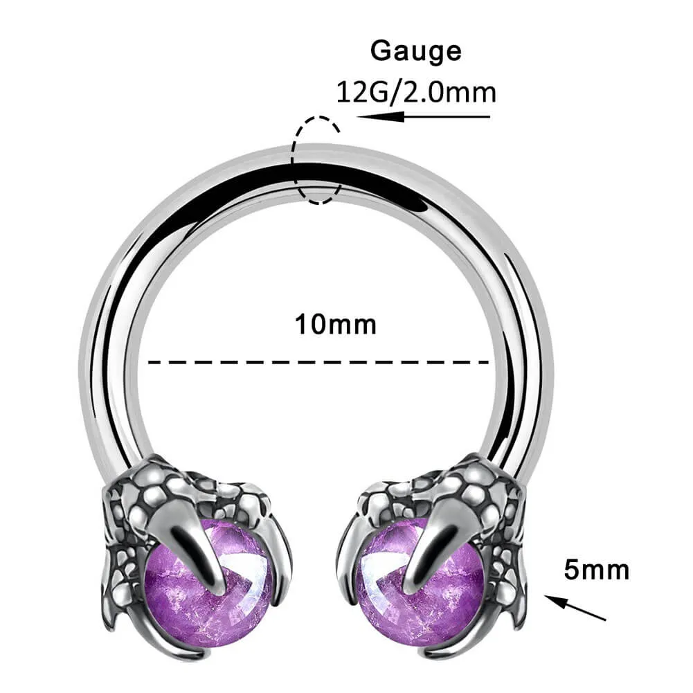 12G 3/8'' Amethyst Dragon Claw Horseshoe Septum Ring