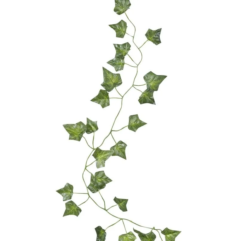 Beautiful Botanics Decorative Vines