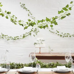 Beautiful Botanics Decorative Vines