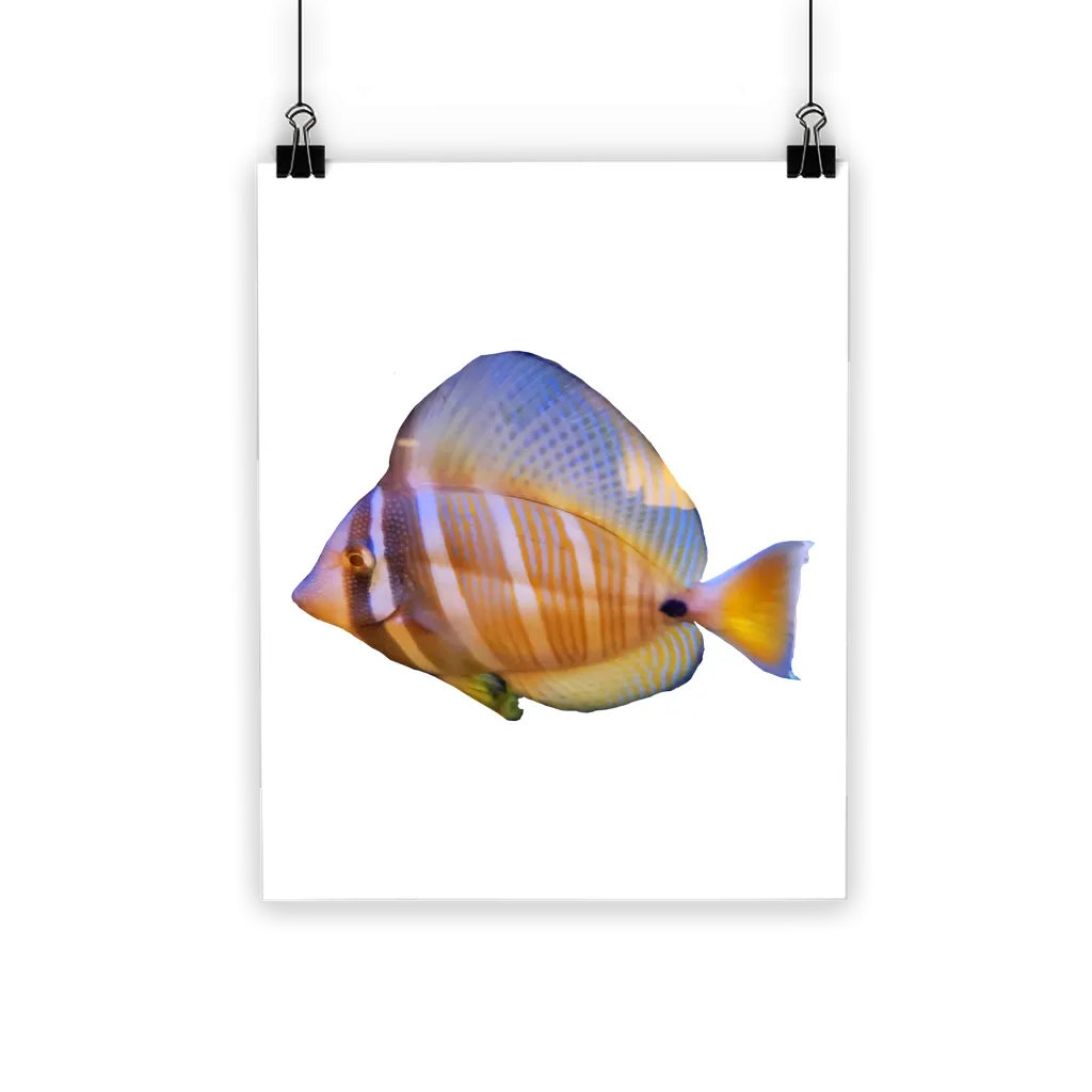 Beautiful Colored Fish Classic Poster