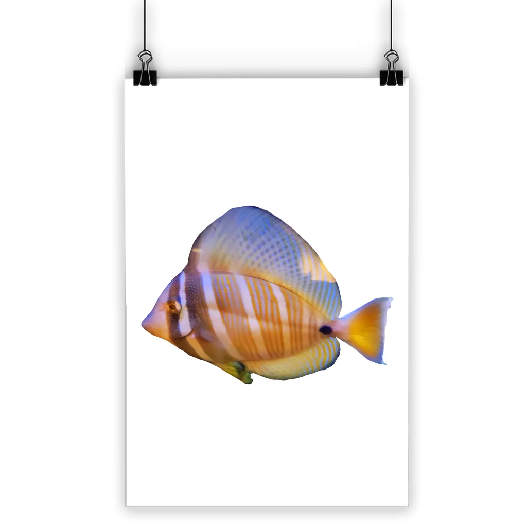 Beautiful Colored Fish Classic Poster