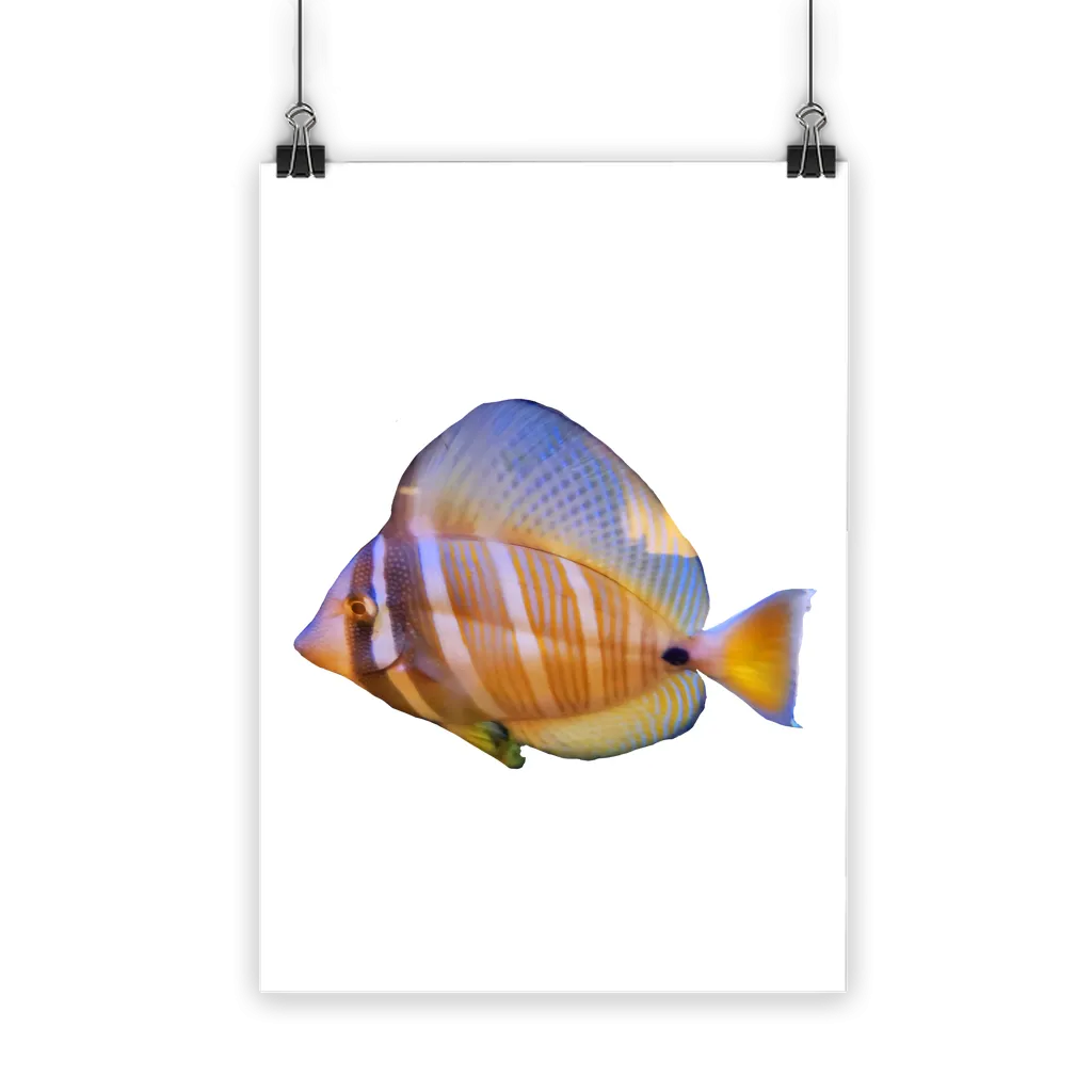 Beautiful Colored Fish Classic Poster