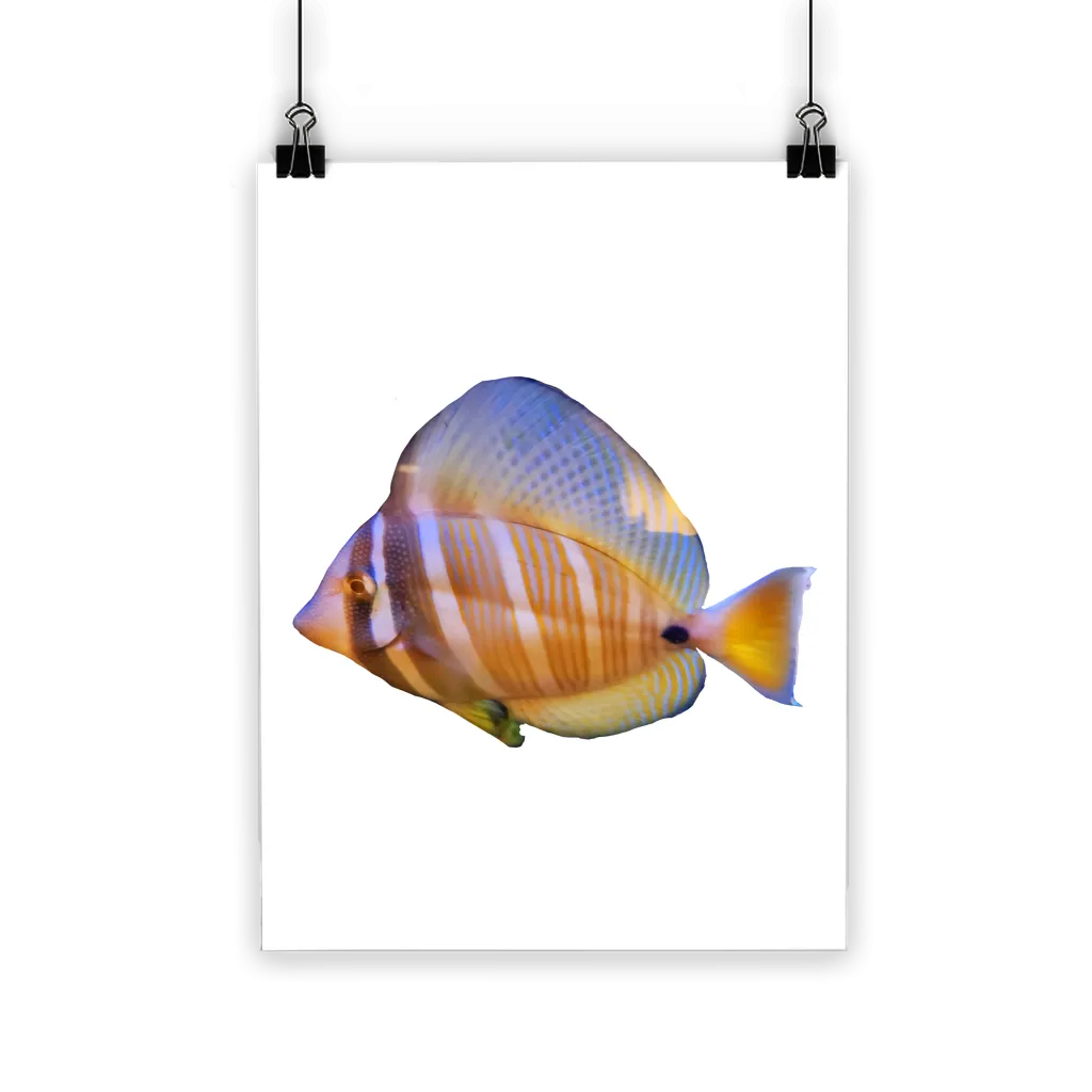 Beautiful Colored Fish Classic Poster