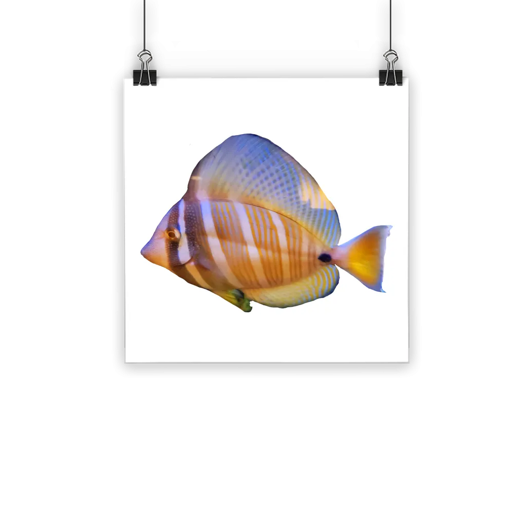 Beautiful Colored Fish Classic Poster