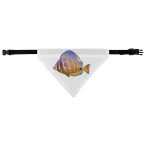 Beautiful Colored Fish Pet Bandana