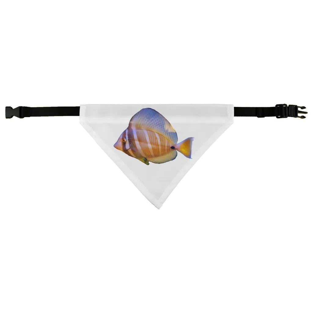 Beautiful Colored Fish Pet Bandana