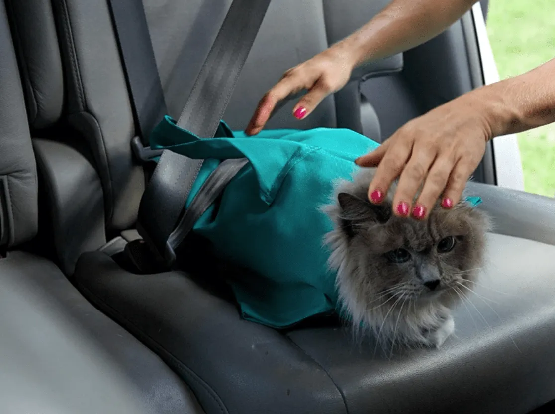 Cat Carrier Pouch Bag Sling