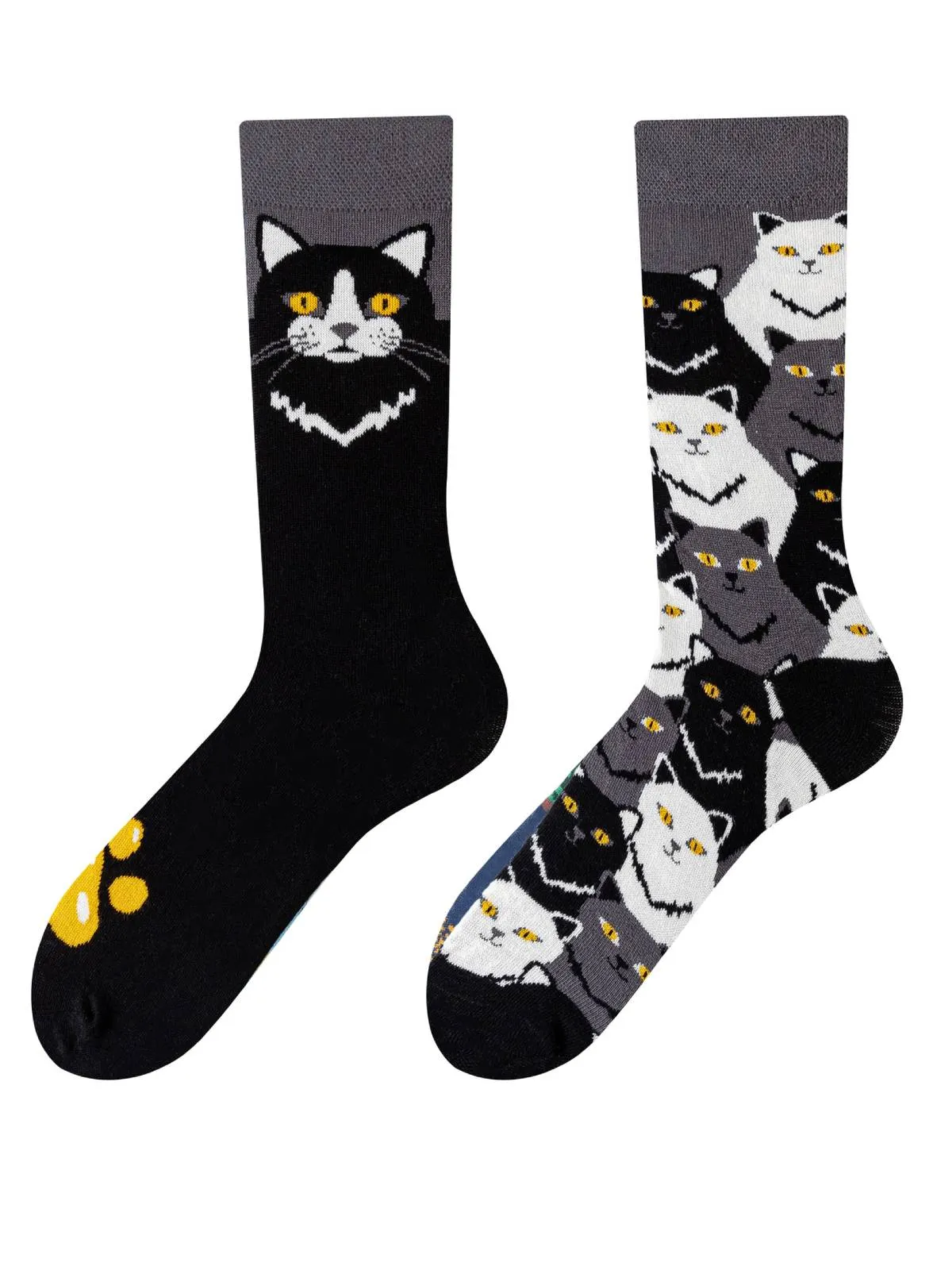 Charming Cat Socks