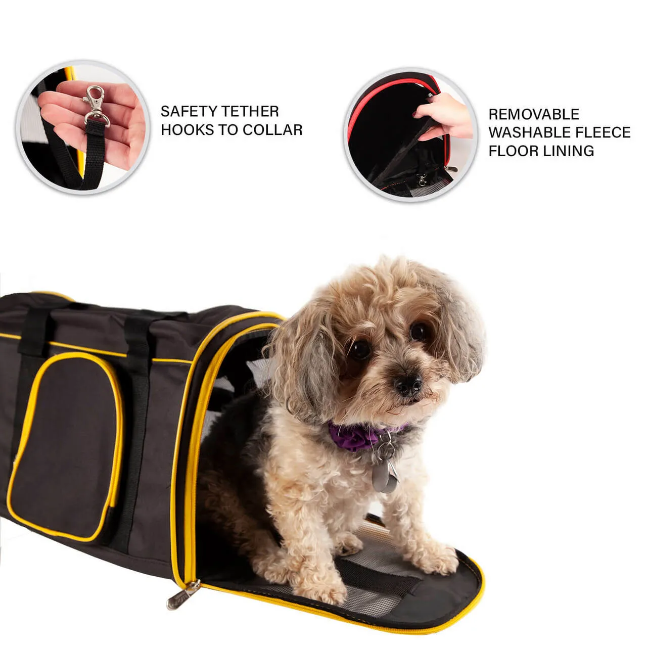 Georgia 16" Premium Pet Carrier