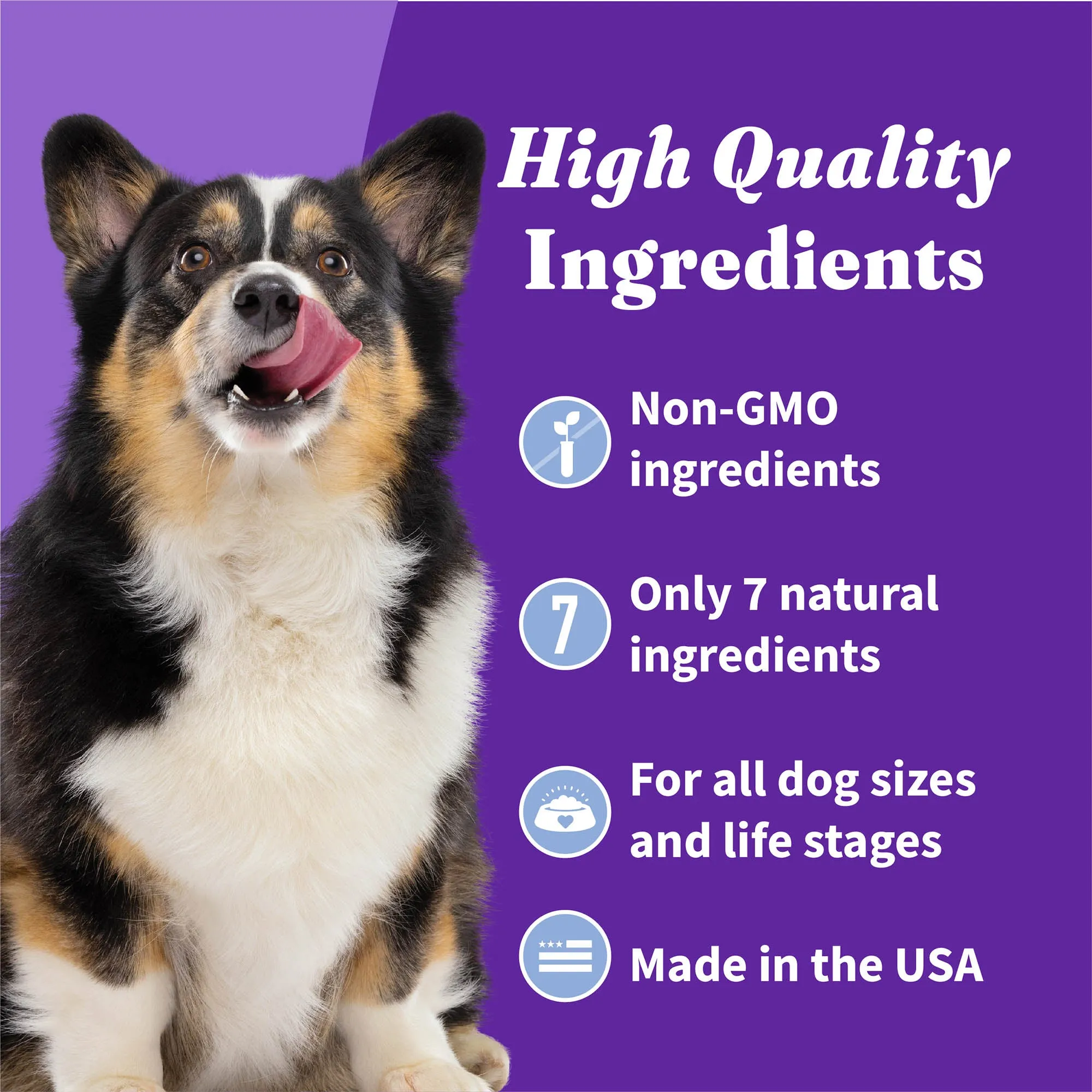 Holistic Plant Based with Oats & Blueberries Dog Biscuits 8 oz