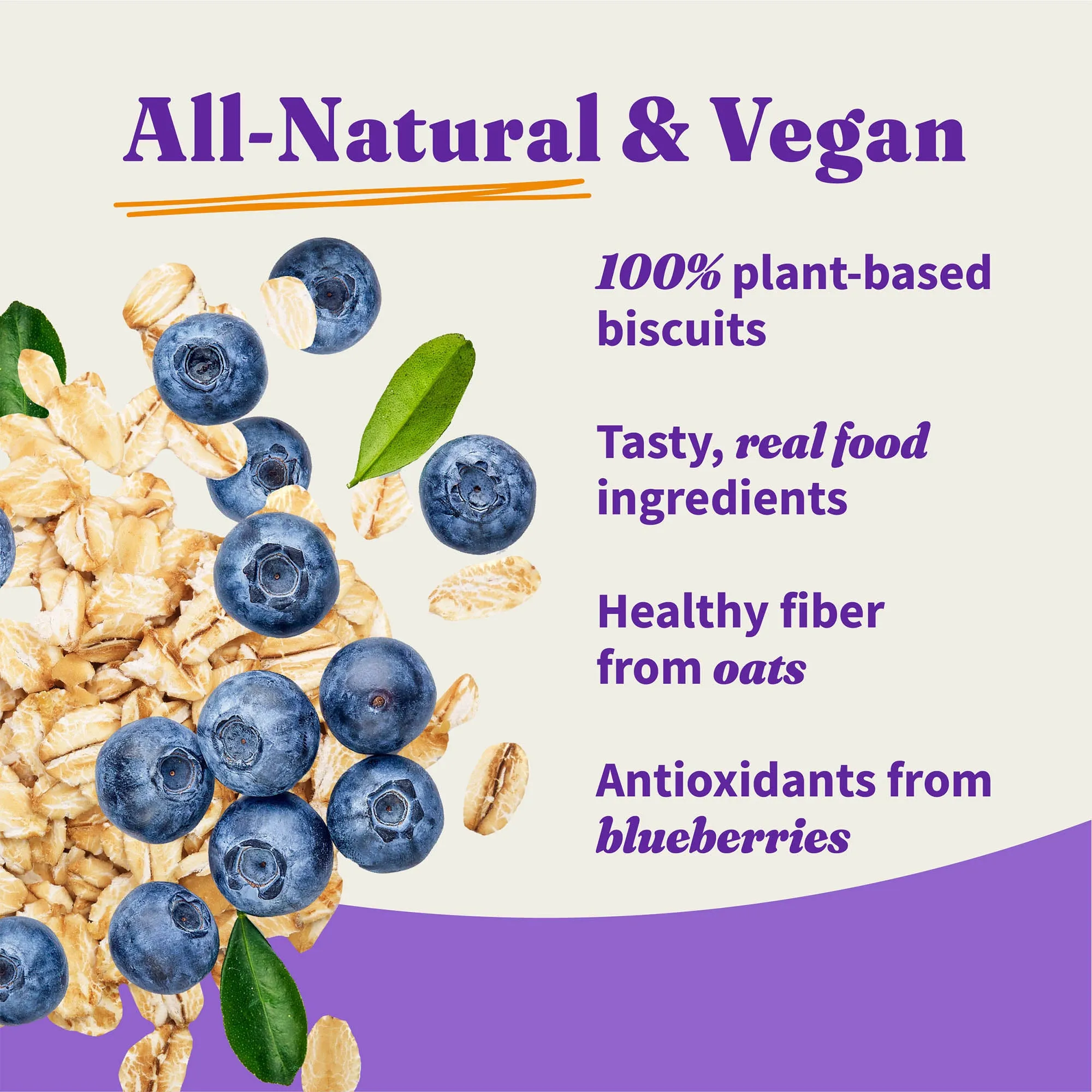 Holistic Plant Based with Oats & Blueberries Dog Biscuits 8 oz