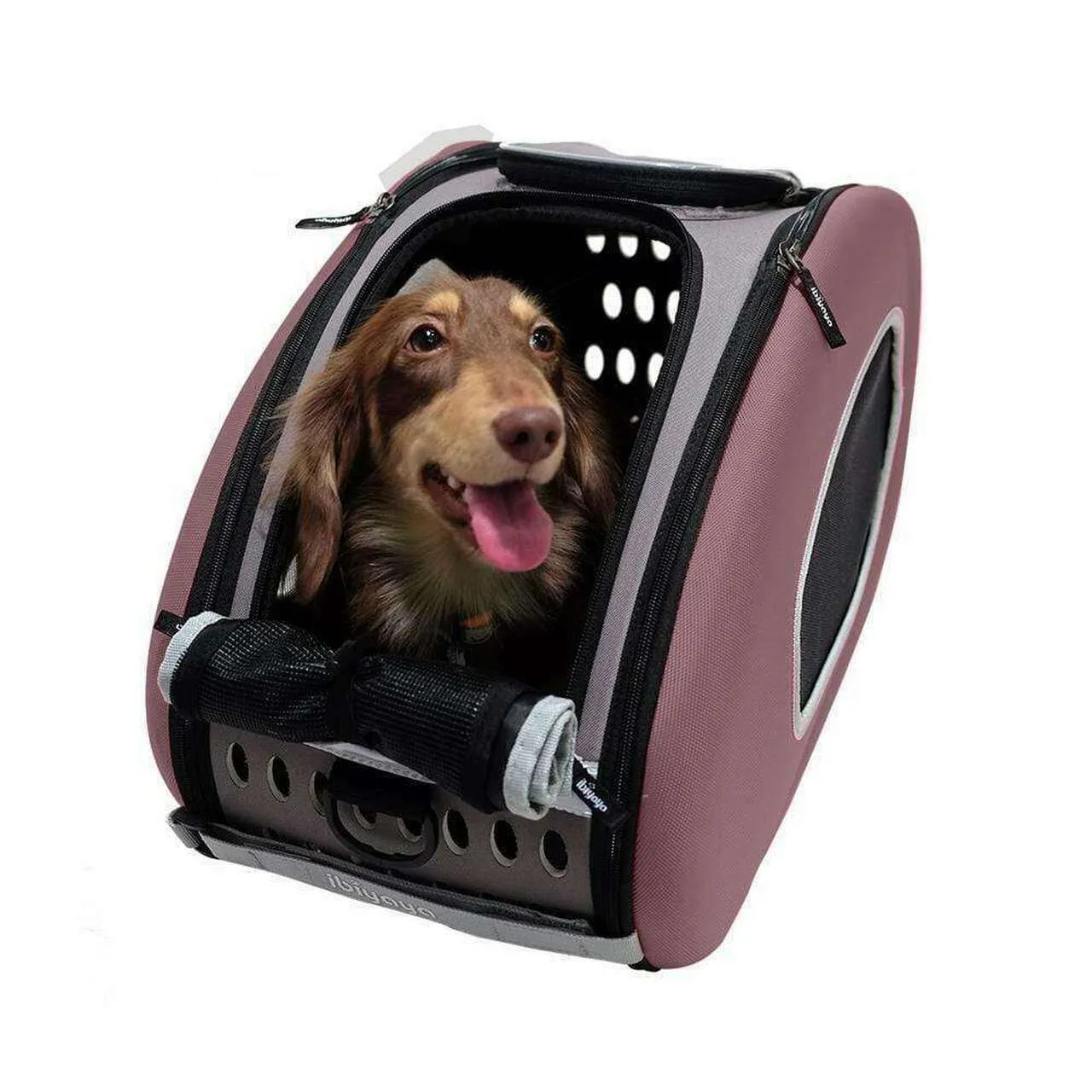 Ibiyaya 4-in-1 Pet Carrier & Trolley