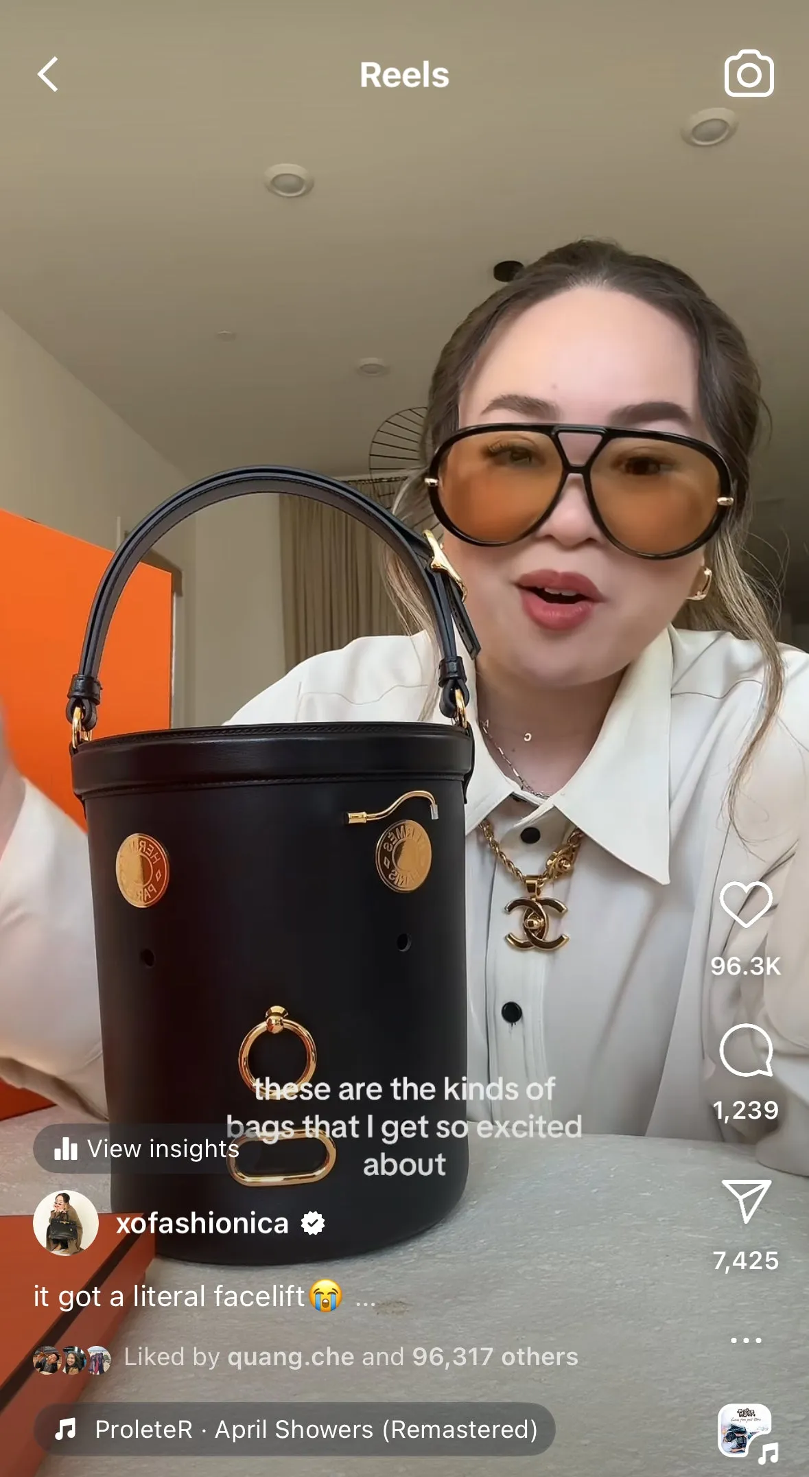 Limited Edition Hermès 2020 Sac de Mangeoire Bucket Bag