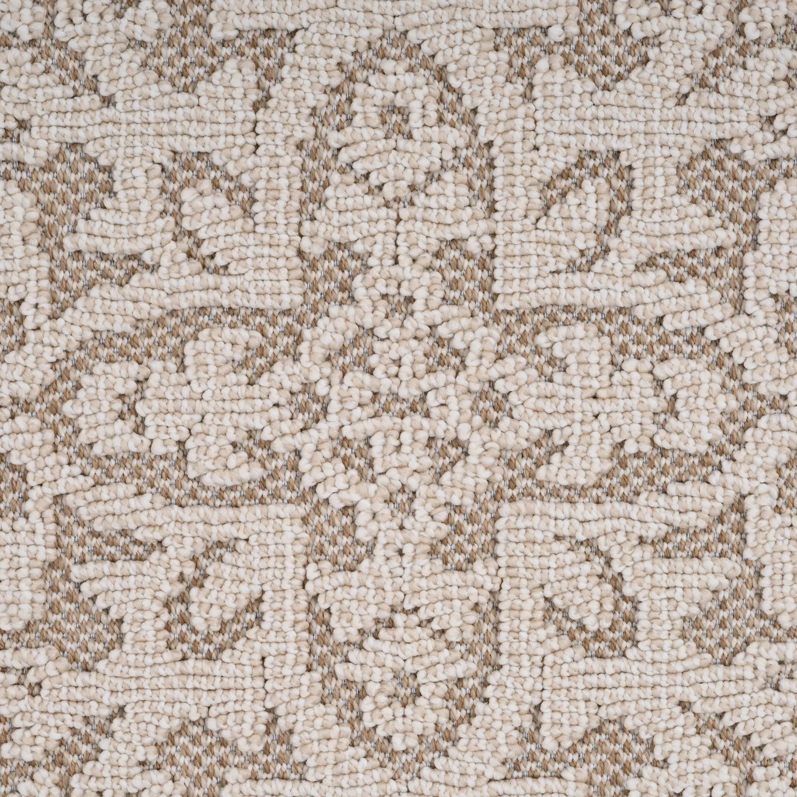 Medallion Beige Area Rug