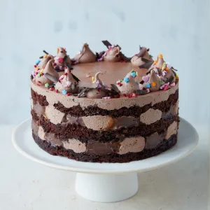 Vegan Chocolate Caramel Cake